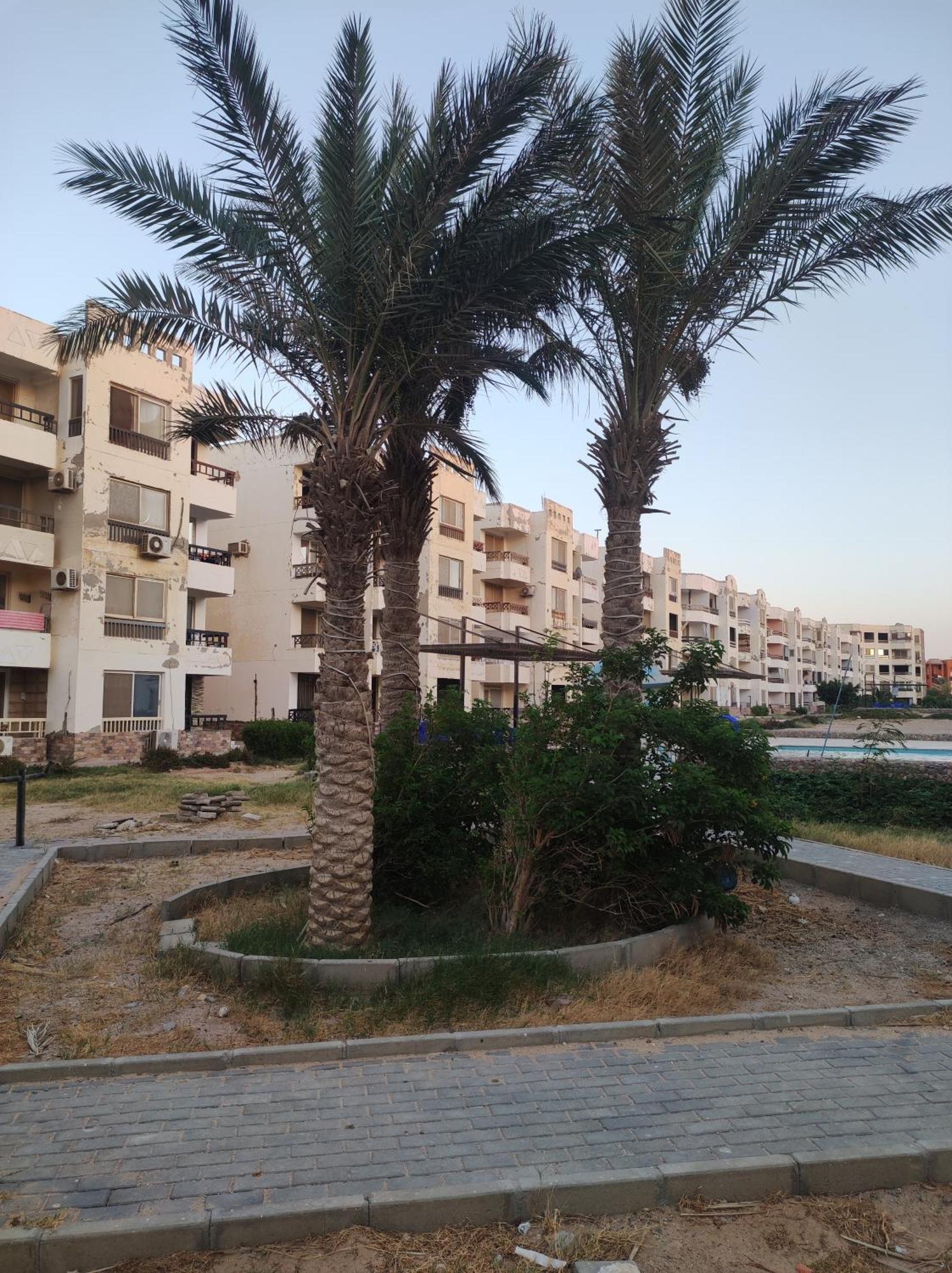 Apartment Summer Land *